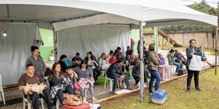 PREFEITURA DE RIO DE BRANCO DO SUL REALIZA MUTIRÃO DE CASTRAÇÃO
