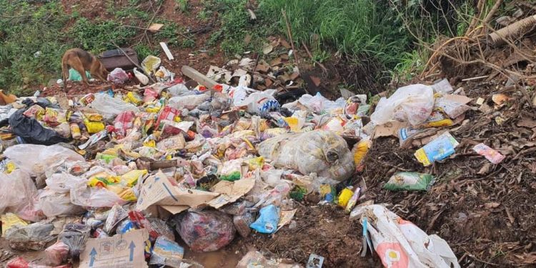MORADOR FLAGRA ALIMENTOS JOGADOS NO LIXO