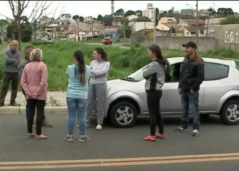 CÃES QUE DEVORARAM CADÁVER NO CIC, EM CURITIBA, ATACAM MULHER E CRIANÇA NA RUA.