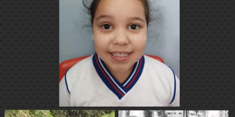 Família morre em acidente com caminhão no interior do Paraná; Escola presta homenagem  .