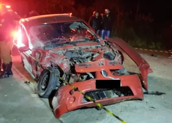 Jovem de 23 anos morre após bater contra caminhão na Rodovia dos Minérios