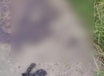 Homem esfaqueado é encontrado caído em Itaperuçu