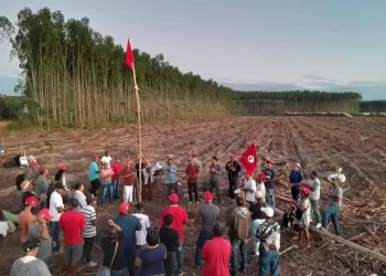 Fracassa tentativa do governo para acordo entre MST e Suzano após invasão