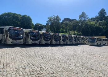 Viação do Sul faz aquisição de 15 ônibus zero quilômetro
