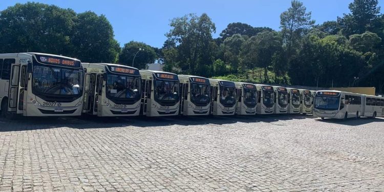 Viação do Sul faz aquisição de 15 ônibus zero quilômetro