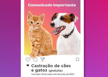 CADASTRO DA CASTRAÇÃO GRATUITA DE CÃES E GATOS (MACHOS E FÊMEAS ), PELA PREFEITURA