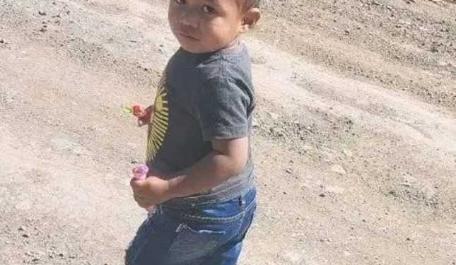 Motorista embriagado que atropelou e matou primo de 2 anos paga fiança e é solto