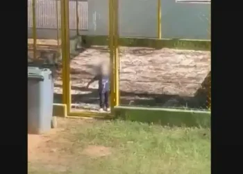 Criança de 2 anos é mantida em ‘gaiola’ e creche de SP é investigada