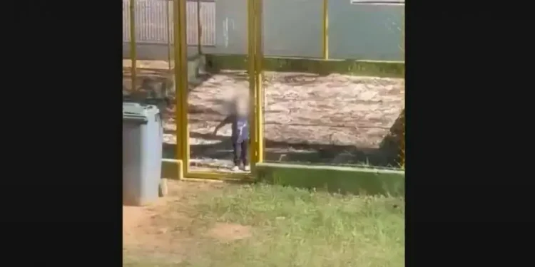Criança de 2 anos é mantida em ‘gaiola’ e creche de SP é investigada