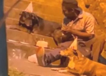 O mendigo que comemorou o aniversário de seu cachorro na rua agora tem uma casa