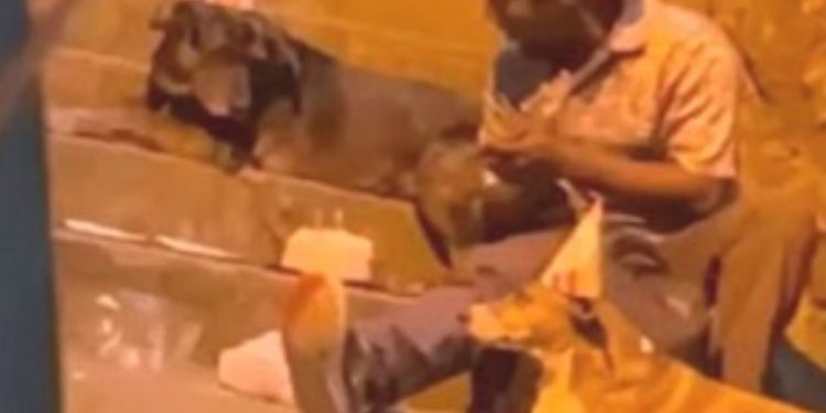 O mendigo que comemorou o aniversário de seu cachorro na rua agora tem uma casa