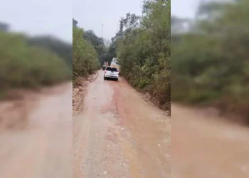 Moradores reclamam de condições de estrada que acessa bairro e pedem ajuda em Almirante Tamandaré