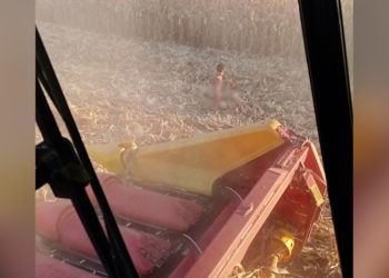 Agricultor fala como foi momento em que encontrou menino