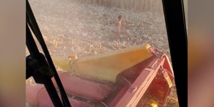 Agricultor fala como foi momento em que encontrou menino