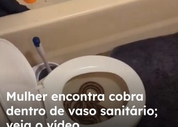 Mulher encontra cobra dentro de vaso sanitário;