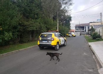 Mulher seminua e de tornozeleira é encontrada morta em Colombo