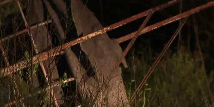 Homem é encontrado morto dentro de carrinho de reciclados em Curitiba