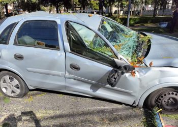 Motorista tem ferimentos leves após árvore cair em cima de carro na Brigadeiro Franco