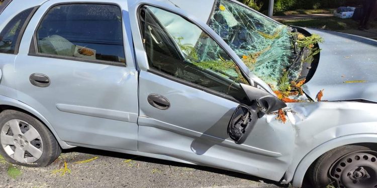 Motorista tem ferimentos leves após árvore cair em cima de carro na Brigadeiro Franco