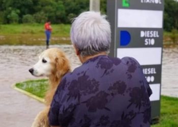 2,5 mil cães e gatos foram resgatados no RS