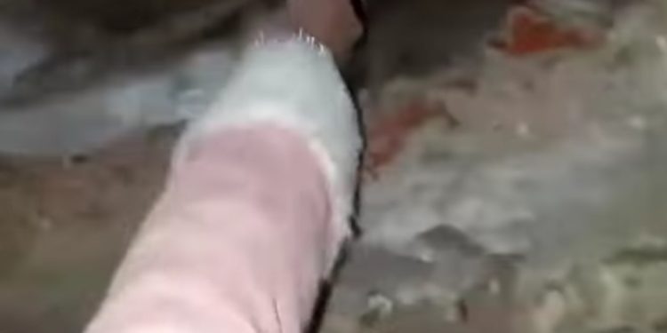 Cenas fortes! Adolescentes que vandalizaram túmulo em Piraquara são identificadas, diz polícia