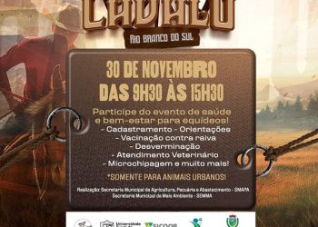 Prefeitura de Rio Branco do Sul dará início ao projeto “Cavalo Urbano: