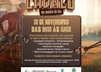 🔴 Vale a pena comparecer! “Cavalo Urbano: Bem-Estar e Conscientização”, um evento especial em prol da saúde