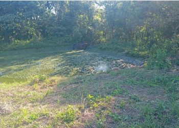 Menino de 5 anos foge de casa e é encontrado morto