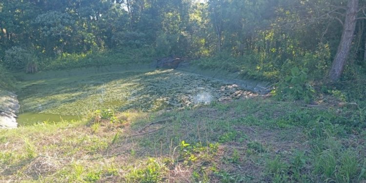Menino de 5 anos foge de casa e é encontrado morto