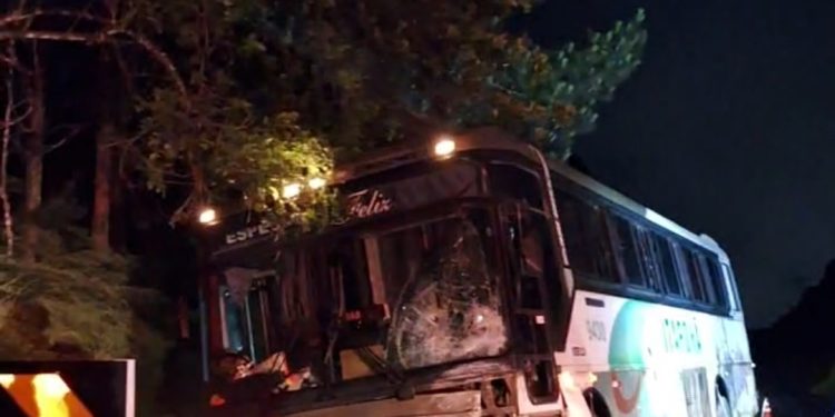 Motorista e criança morrem acidente na estrada da Ribeira