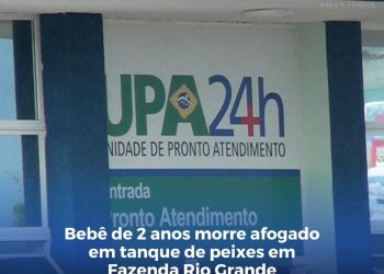 Menino de dois anos morre após cair em tanque de peixes