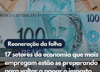 Economia |  Setores da economia que mais emprega