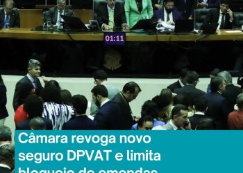 Câmara revoga seguro Dpvat