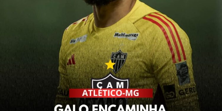 Goleiro vai renovar com o Galo
