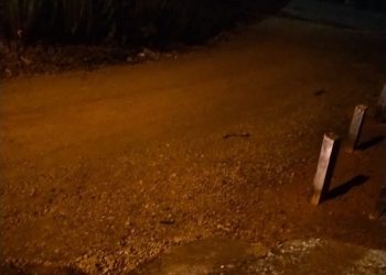 Homem atropelado por trem em Almirante Tamandaré não resistiu