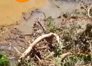 Morador de Rio Branco do Sul morre em Cerro Azul