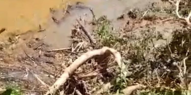 Morador de Rio Branco do Sul morre em Cerro Azul