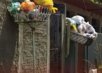 Falta de coleta de lixo vira um problema para os moradores de Itaperuçu.