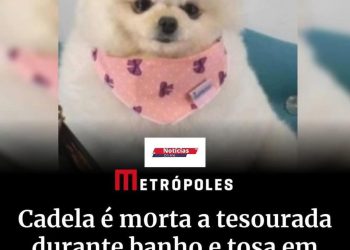 🚨🚔 CADELA É MORTA A TESOURADA DURANTE BANHO E TOSA EM PET SHOP 🚨🚔