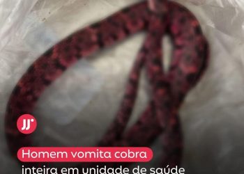 BRASIL | Homem tenta engolir cobr@, passa mal e vomita o animal no interior