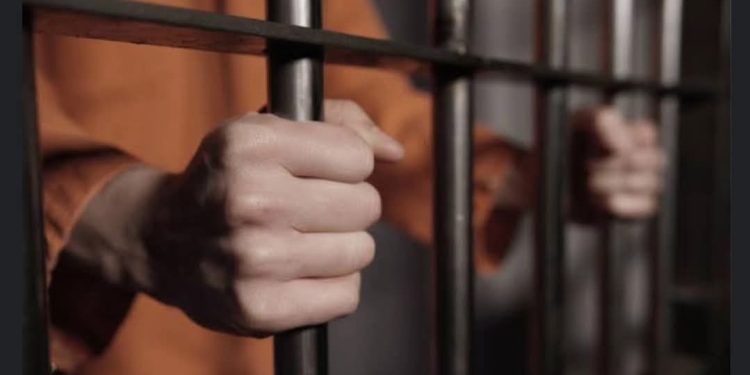 Suspeito de manter mulher em cárcere privado é solto em audiência de custódia