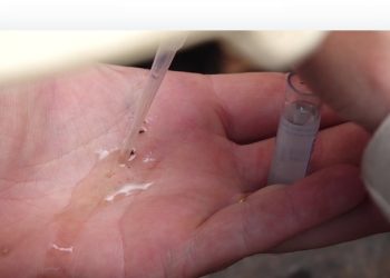 Saúde confirma novos casos de dengue no Paraná