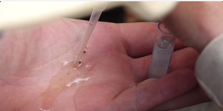 Saúde confirma novos casos de dengue no Paraná