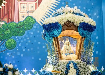 AGORA É OFICIAL | Nossa Senhora do Rocio é oficializada como Padroeira do Estado