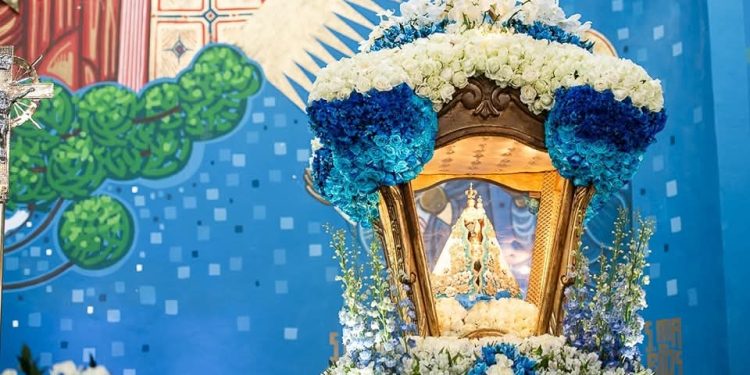 AGORA É OFICIAL | Nossa Senhora do Rocio é oficializada como Padroeira do Estado