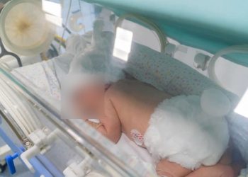 Bebês da UTI Neonatal em Hospital  ganham trajes de coelhinho em ação especial de Páscoa