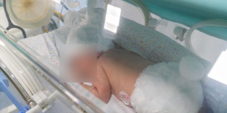 Bebês da UTI Neonatal em Hospital  ganham trajes de coelhinho em ação especial de Páscoa