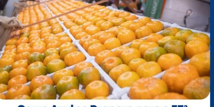 Festa da Ponkan 2025 em Cerro Azul