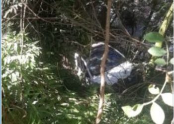 Carro sai da estrada e vai parar no mato em Rio Branco do Sul