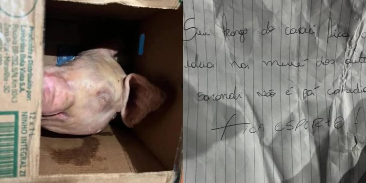Morador recebe encomenda com cabeça de porco e bilhete ameaçador.
